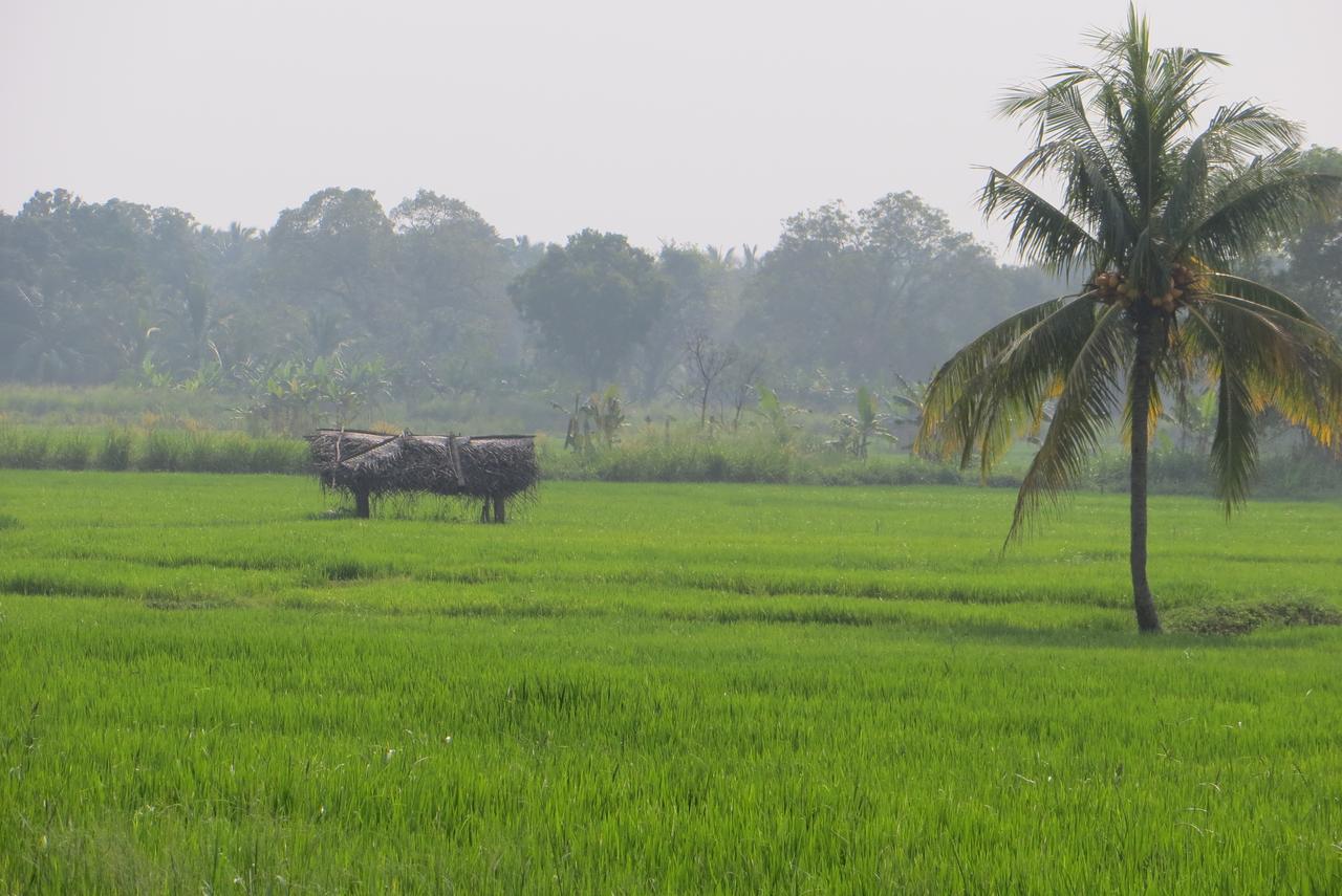 Funky Lanka Tours 호텔 캔디 외부 사진